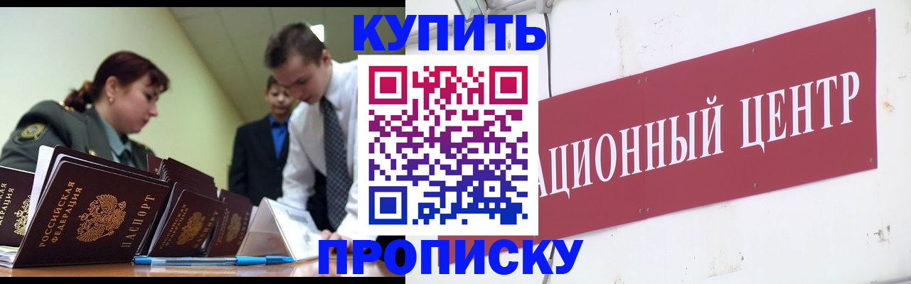 прописка поиск в Щёкино